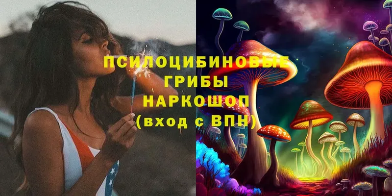 Галлюциногенные грибы MAGIC MUSHROOMS  Малая Вишера 